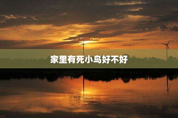 家里有死小鸟好不好