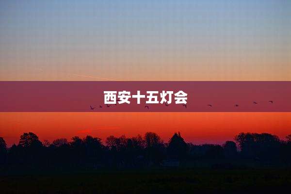 西安十五灯会