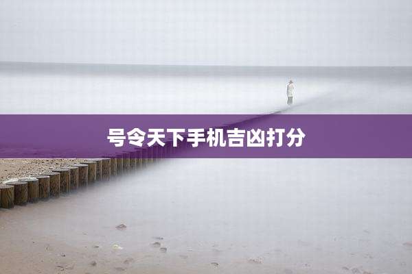 号令天下手机吉凶打分