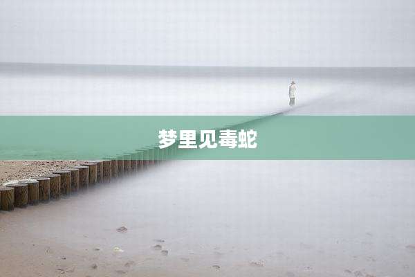 梦里见毒蛇