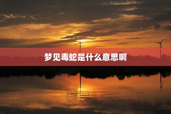 梦见毒蛇是什么意思啊