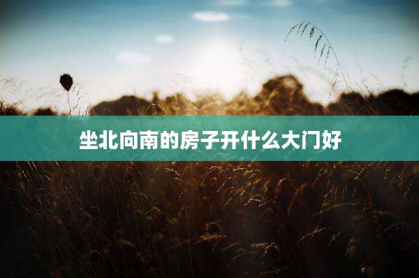 坐北向南的房子开什么大门好