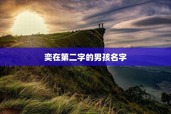奕在第二字的男孩名字