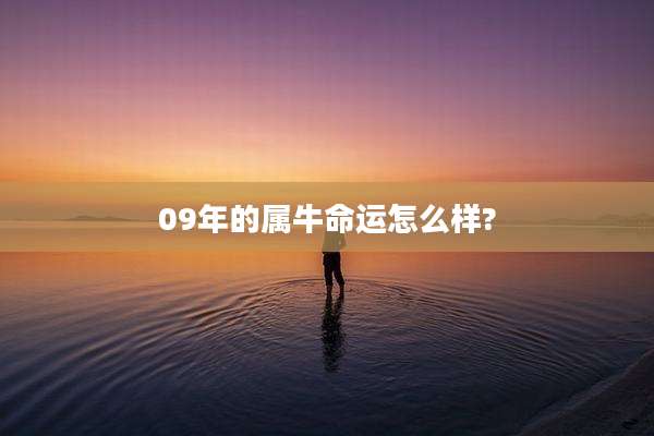 09年的属牛命运怎么样?