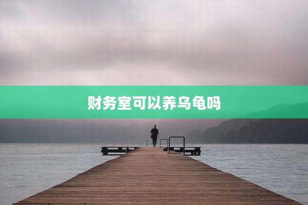 财务室可以养乌龟吗