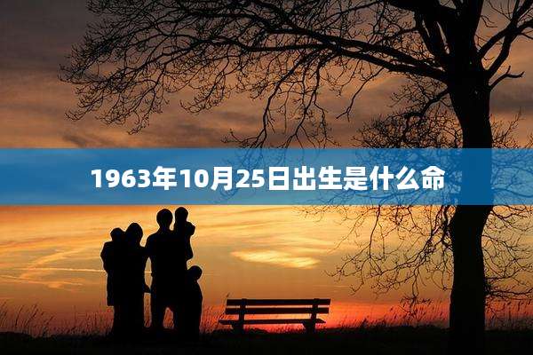 1963年10月25日出生是什么命