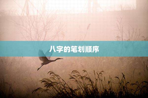 八字的笔划顺序