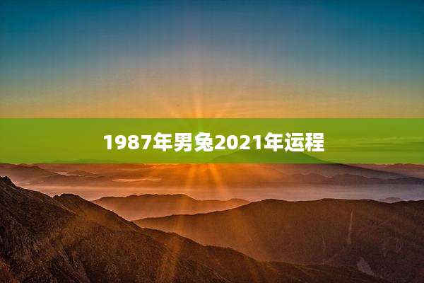 1987年男兔2021年运程