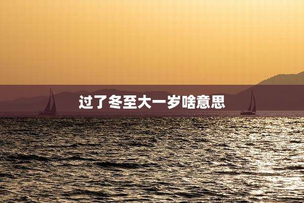 过了冬至大一岁啥意思