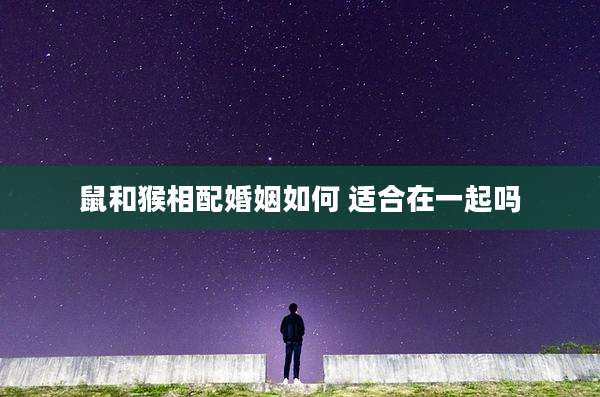 鼠和猴相配婚姻如何 适合在一起吗