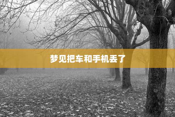 梦见把车和手机丢了