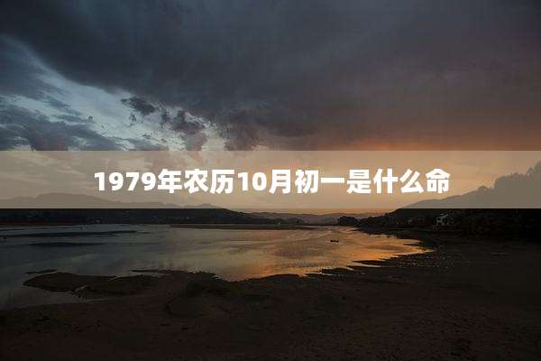 1979年农历10月初一是什么命