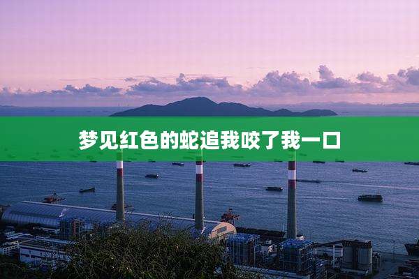 梦见红色的蛇追我咬了我一口
