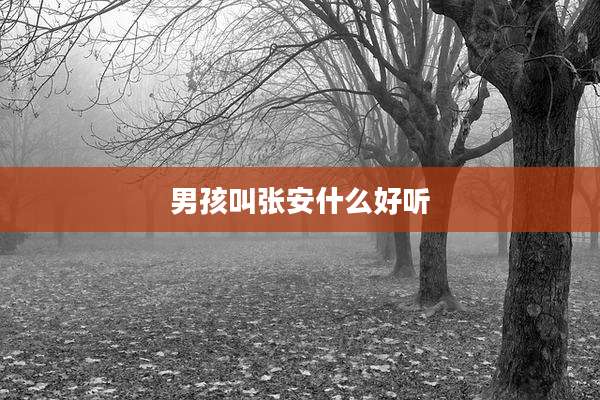 男孩叫张安什么好听