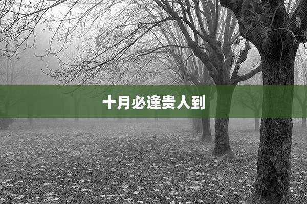 十月必逢贵人到