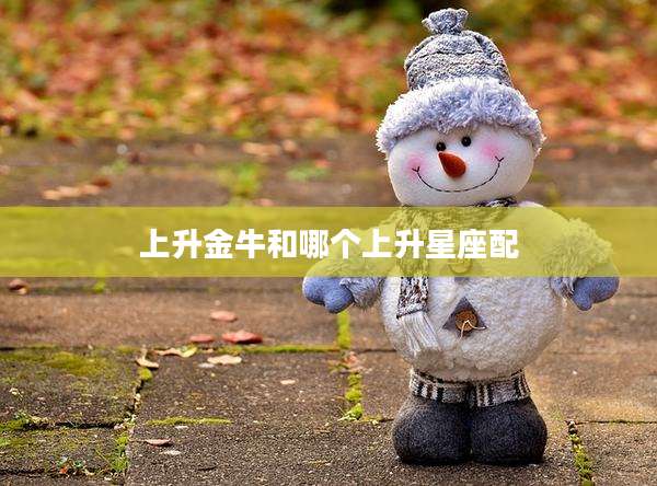 上升金牛和哪个上升星座配