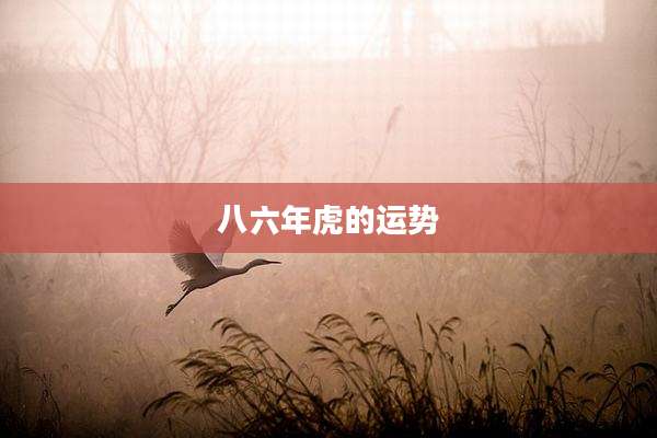 八六年虎的运势
