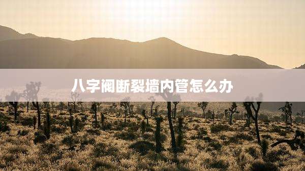 八字阀断裂墙内管怎么办