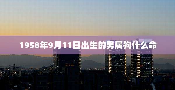 1958年9月11日出生的男属狗什么命