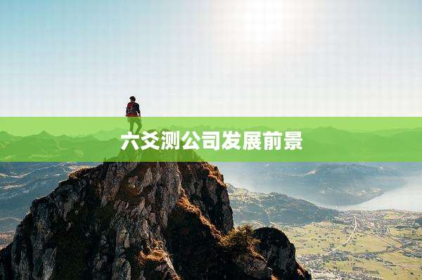 六爻测公司发展前景