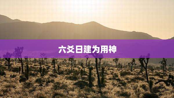 六爻日建为用神