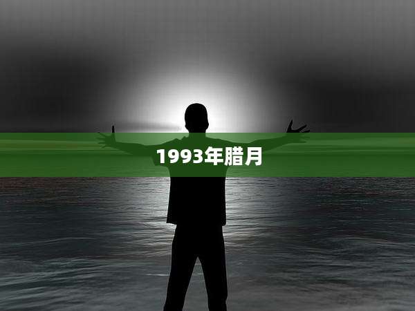 1993年腊月