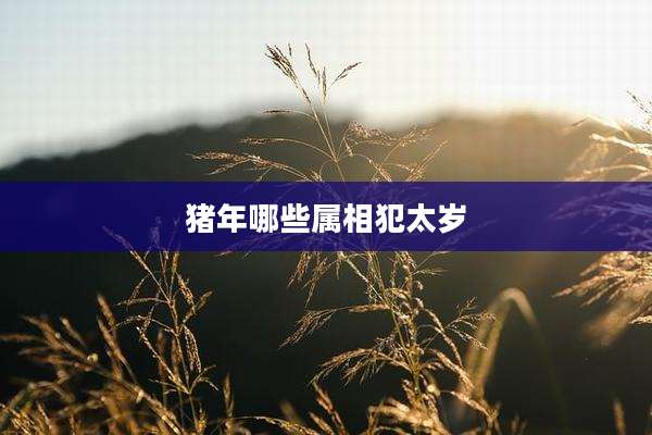猪年哪些属相犯太岁