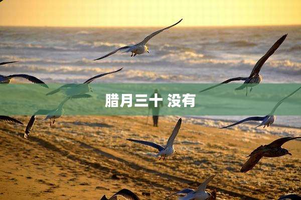 腊月三十 没有