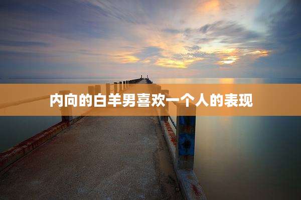 内向的白羊男喜欢一个人的表现