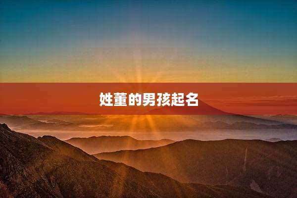 姓董的男孩起名