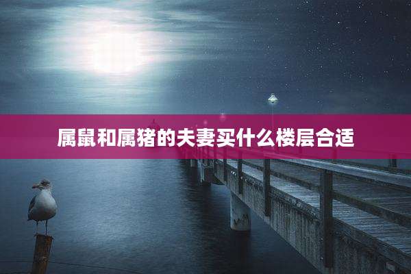 属鼠和属猪的夫妻买什么楼层合适