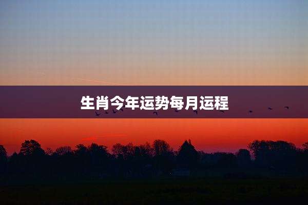 生肖今年运势每月运程