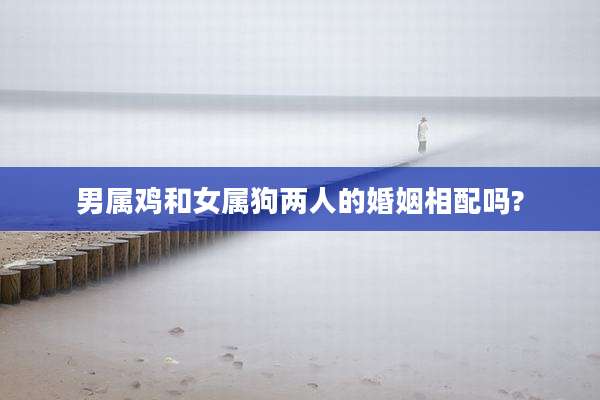 男属鸡和女属狗两人的婚姻相配吗?