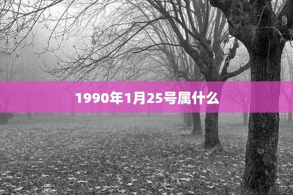 1990年1月25号属什么