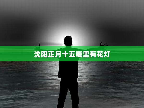 沈阳正月十五哪里有花灯