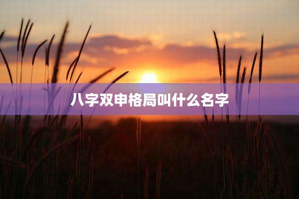八字双申格局叫什么名字