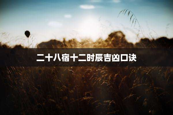 二十八宿十二时辰吉凶口诀
