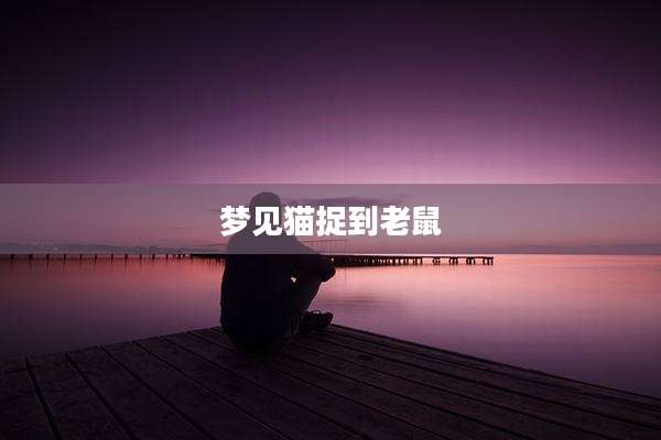 梦见猫捉到老鼠