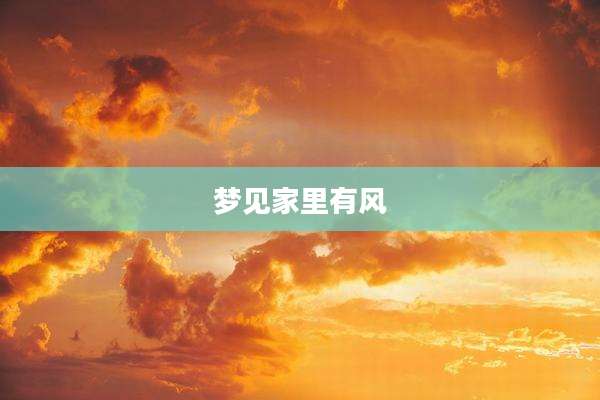梦见家里有风