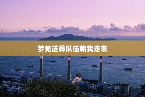 梦见送葬队伍朝我走来