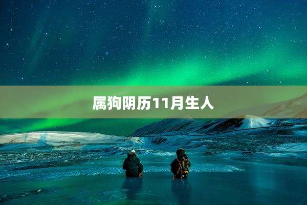 属狗阴历11月生人