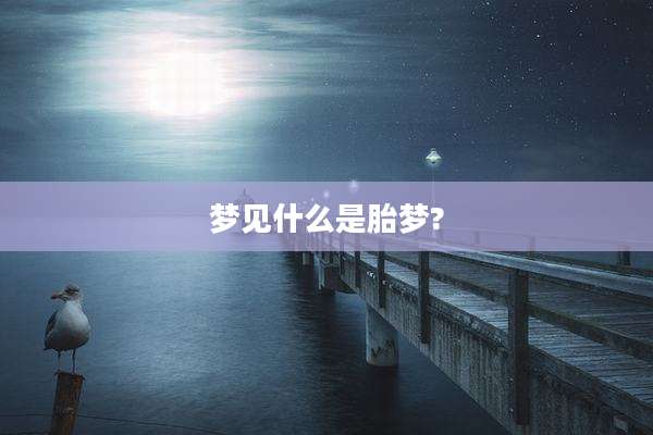 梦见什么是胎梦?