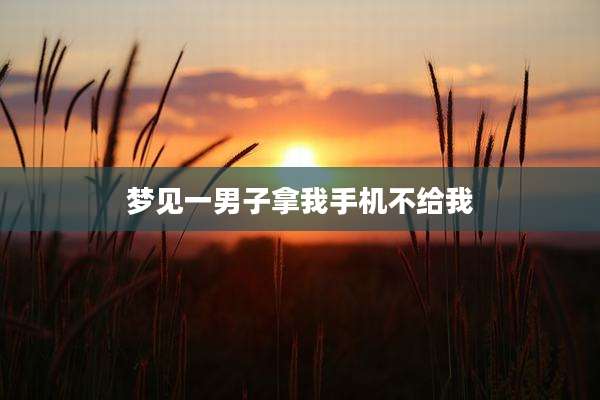 梦见一男子拿我手机不给我