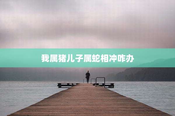 我属猪儿子属蛇相冲咋办