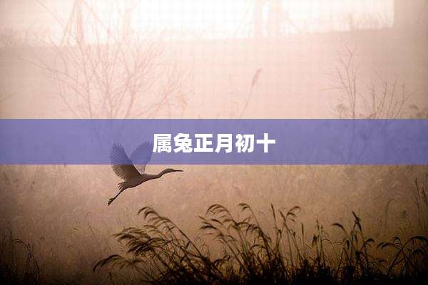 属兔正月初十