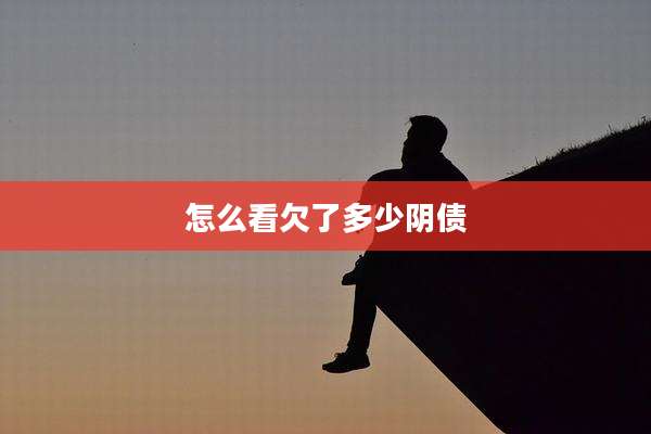 怎么看欠了多少阴债