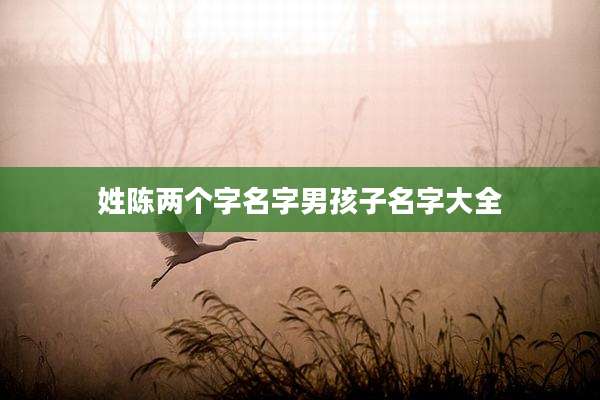 姓陈两个字名字男孩子名字大全
