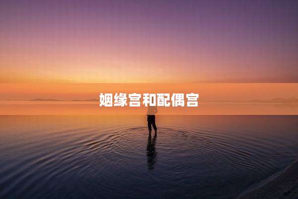 姻缘宫和配偶宫