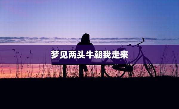 梦见两头牛朝我走来