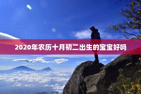 2020年农历十月初二出生的宝宝好吗